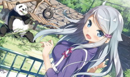 动漫的网站,探索各大热门动漫网站的魅力之旅